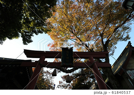 君の名はの聖地、東京四谷の須賀神社 61840537