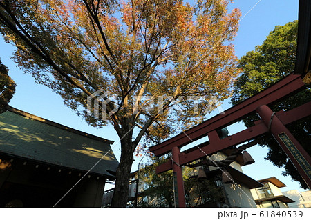 君の名はの聖地、東京四谷の須賀神社 61840539