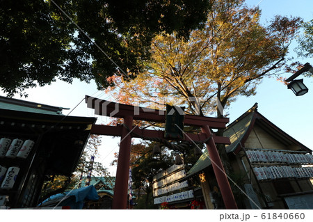 君の名はの聖地、東京の四谷の須賀神社 君の名はの聖地、東京の四谷の須賀神社 61840660