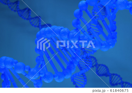 3d rendering of DNA (deoxyribonucleic acid) 3d rendering of DNA (deoxyribonucleic acid) 61840675