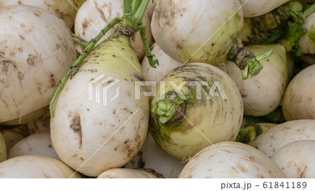 The close up of Fresh Taiwan White Radish Daikon at street market in Taipei, Taiwan. The close up of Fresh Taiwan White Radish Daikon at street market in Taipei, Taiwan. 61841189