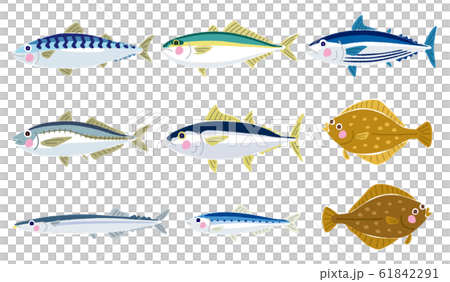 いろいろな魚のイラストのイラスト素材