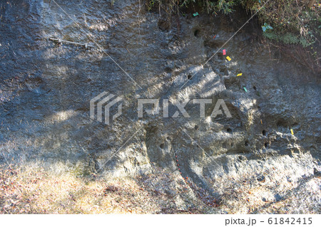 チバニアン 千葉県市原市 地球磁場逆転期の地層 チバニアン 千葉県市原市 地球磁場逆転期の地層 61842415