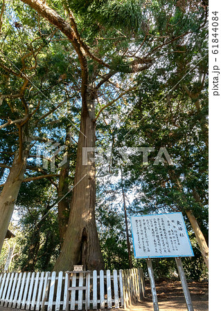 鎌数伊勢大神宮 61844084