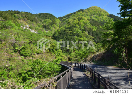 浦山ダムへ続く道 61844155