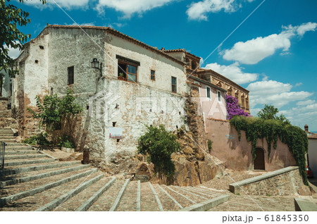Buildings and flowering trees over a stairway in Caceres 61845350