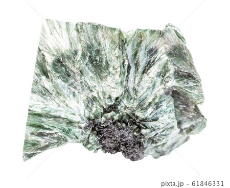 Clinochlore (chlorite) rock isolated on white 61846331