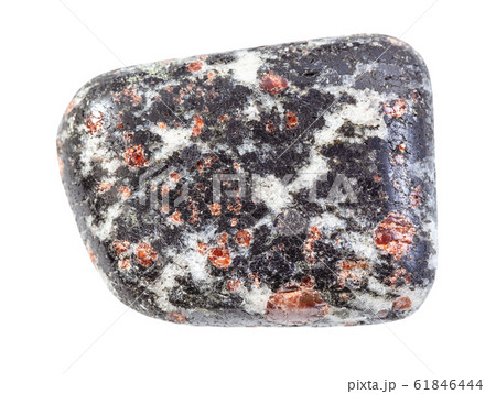 polished Hornblende rock with garnet crystals 61846444