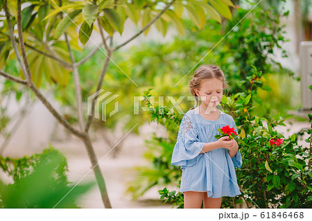 Little adorable girl smelling colorful flowers at summer day Little adorable girl smelling colorful flowers at summer day 61846468