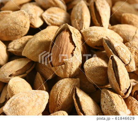 ナッツ 61846629