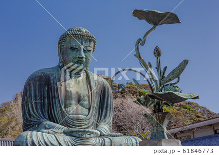 鎌倉の大仏 鎌倉の大仏 61846773