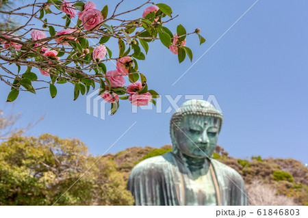 鎌倉の大仏 鎌倉の大仏 61846803