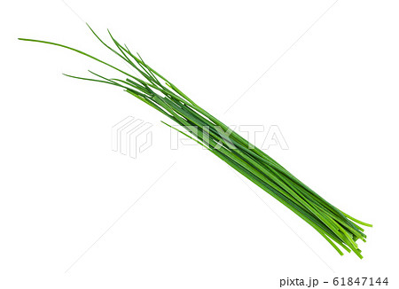 several fresh leaves of Chives isolated on white 61847144