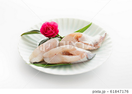 生のスケソウダラ 61847176