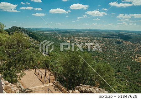 Pathway with steps and landscape covered by trees at the Monfrague National Park 61847629