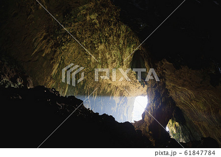 View inside Deer cave in Gunung Mulu National Park View inside Deer cave in Gunung Mulu National Park 61847784