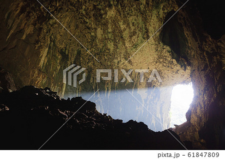 View inside Deer cave in Gunung Mulu National Park 61847809