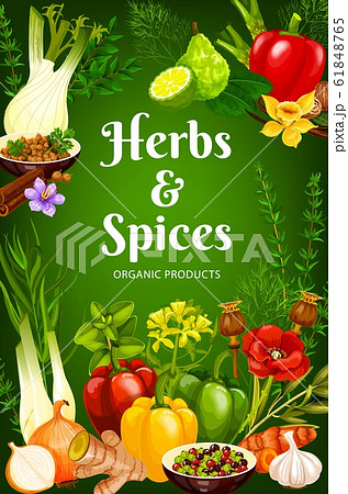 Cooking spices, herb flavorings and seasonings 61848765
