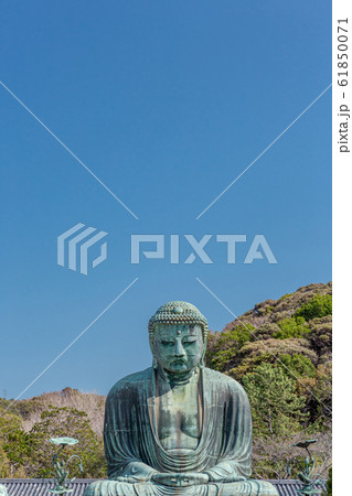 鎌倉の大仏 鎌倉の大仏 61850071