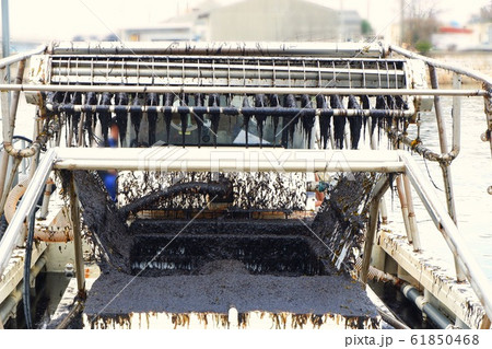 明石海苔 明石海苔 61850468