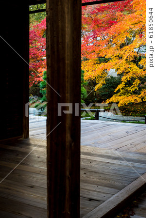 南禅寺塔頭・天授庵の紅葉、方丈と前庭 61850644