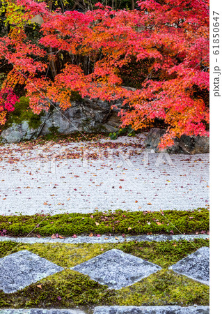 南禅寺塔頭・天授庵、方丈前庭の枯山水に紅葉 61850647