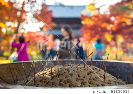 南禅寺、紅葉の境内に常香炉 南禅寺、紅葉の境内に常香炉 61850652