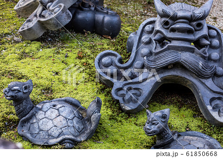 等持院、苔床に鬼瓦 等持院、苔床に鬼瓦 61850668