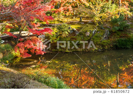 紅葉の等持院、心字池に映る紅葉 紅葉の等持院、心字池に映る紅葉 61850672