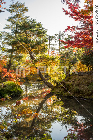 紅葉の等持院、心字池に映る紅葉 61850673