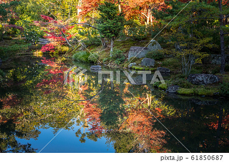 紅葉の等持院、心字池の秋 61850687