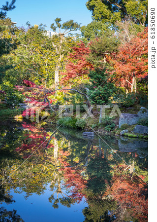 紅葉の等持院、心字池の秋 61850690