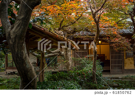厭離庵の紅葉、本堂と紅葉 61850762