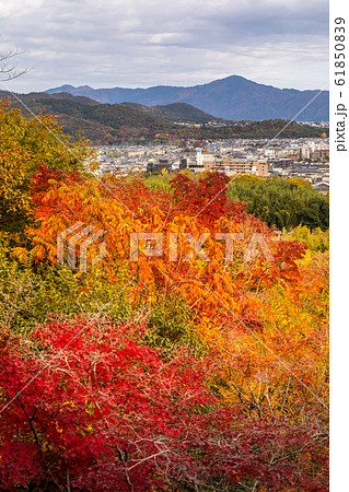 大河内山荘の秋、月下亭から臨む紅葉の京都盆地と比叡山 61850839
