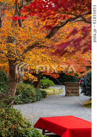 大河内山荘の秋、茶席と紅葉 61850853