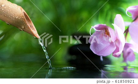 A stream of water flowing out of bamboo tube 61850921