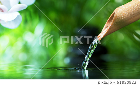 A stream of water flowing out of bamboo tube 61850922