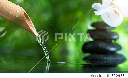 A stream of water flowing out of bamboo tube 61850923