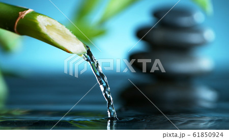 A stream of water flowing out of bamboo tube 61850924