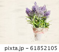 Watercolor painting Beautiful purple wildflowers 61852105