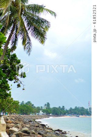 Stone beach ocean coast. Tropical landscape 61852521