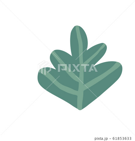 Green leaf isolated on white background. Doodle 61853633