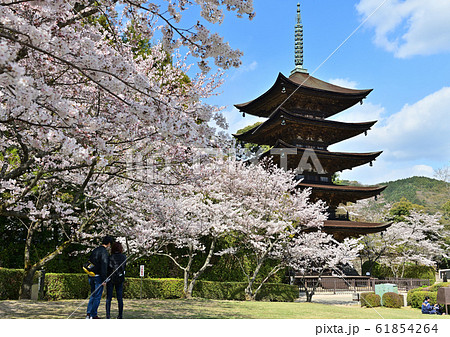 春の瑠璃光寺五重塔 春の瑠璃光寺五重塔 61854264