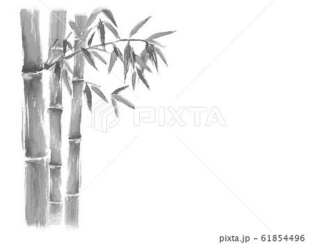 竹 竹林 イラスト 水彩 手描き 和 白黒のイラスト素材