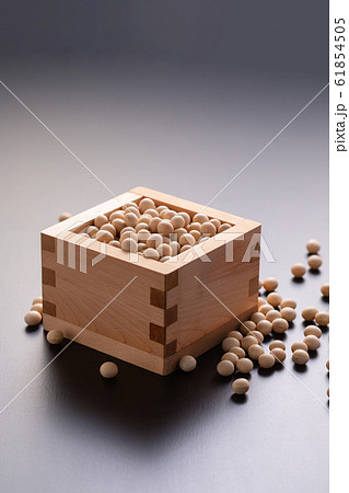 大豆　イメージ 61854505