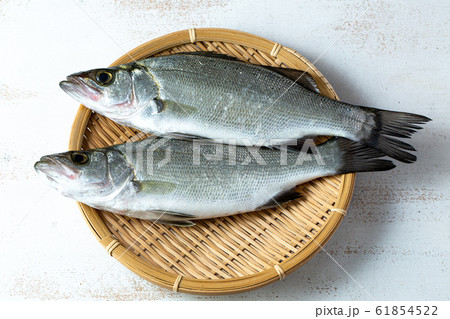 スズキ　食材 61854522