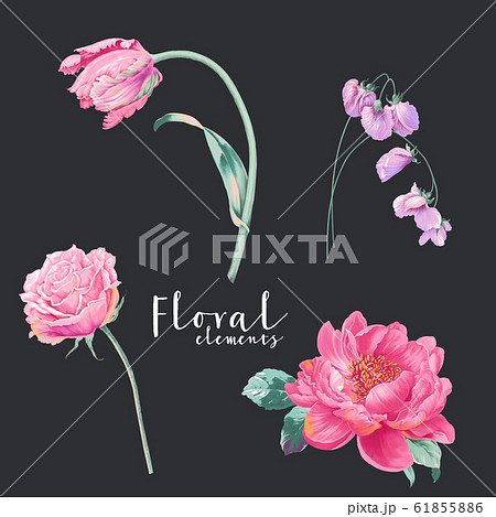 透明水彩 水彩画 花 61855886