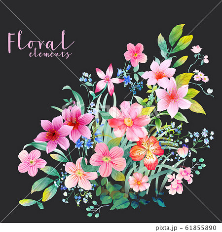 透明水彩 水彩画 花 61855890