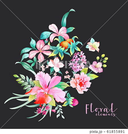 透明水彩 水彩画 花 61855891