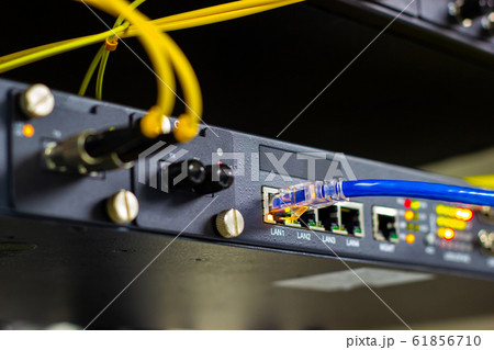 Closeup blue cable network connection to a port of a switch in Server Room 61856710